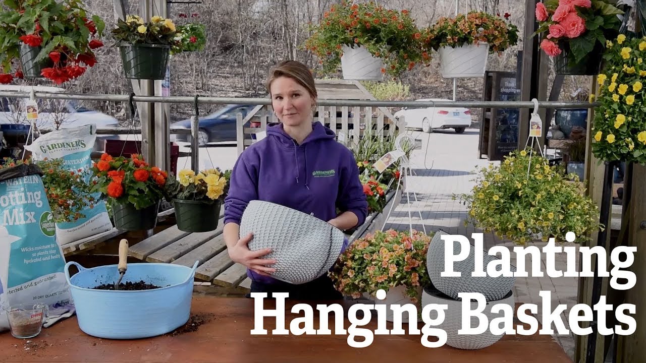 Planting Hanging Baskets
