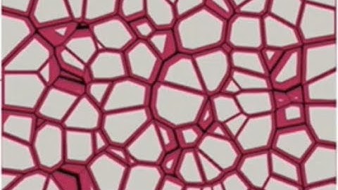 Steel solidification modelling: nozzle clogging, segregation 7 semi-solid deformation; André Phillon