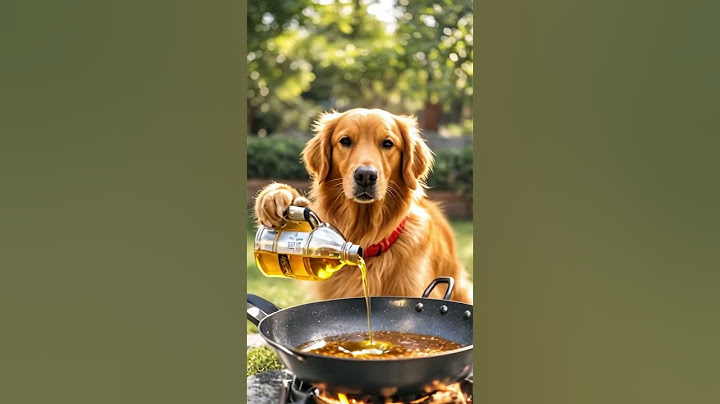 Dog Cooks Crawfish! Unbelievable Pet Kitchen Experiment#Crawfish #PetKitchen