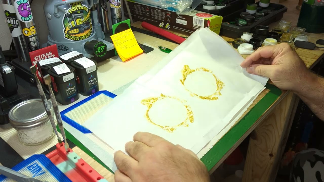 NFSOT Whole Plants THC Bomb pressed for a patient on my 20ton Tank rosin press. @20tontank NFSOT