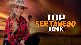 MEGA MIX | AS TOPS SERTANEJAS | ELETRONEJO | SERTANEJO REMIX | DEZEMBRO 2022