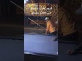 أمهر لاعب بلياردو في العالم مصري