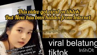 viral belatung viral di tiktok video || begini spoilernya || viral belatung latest