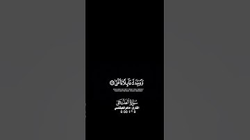 #سورة_الضحى #الشيخ_ماهر_المعيقلي #القرآن_الكريم #حالات_واتس #اكسبلور #القرآن #لايك #ياسر_الدوسري