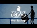 Understanding Sleep and Dreams
