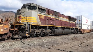 CP 100 East With Heritage Unit Mid Train.