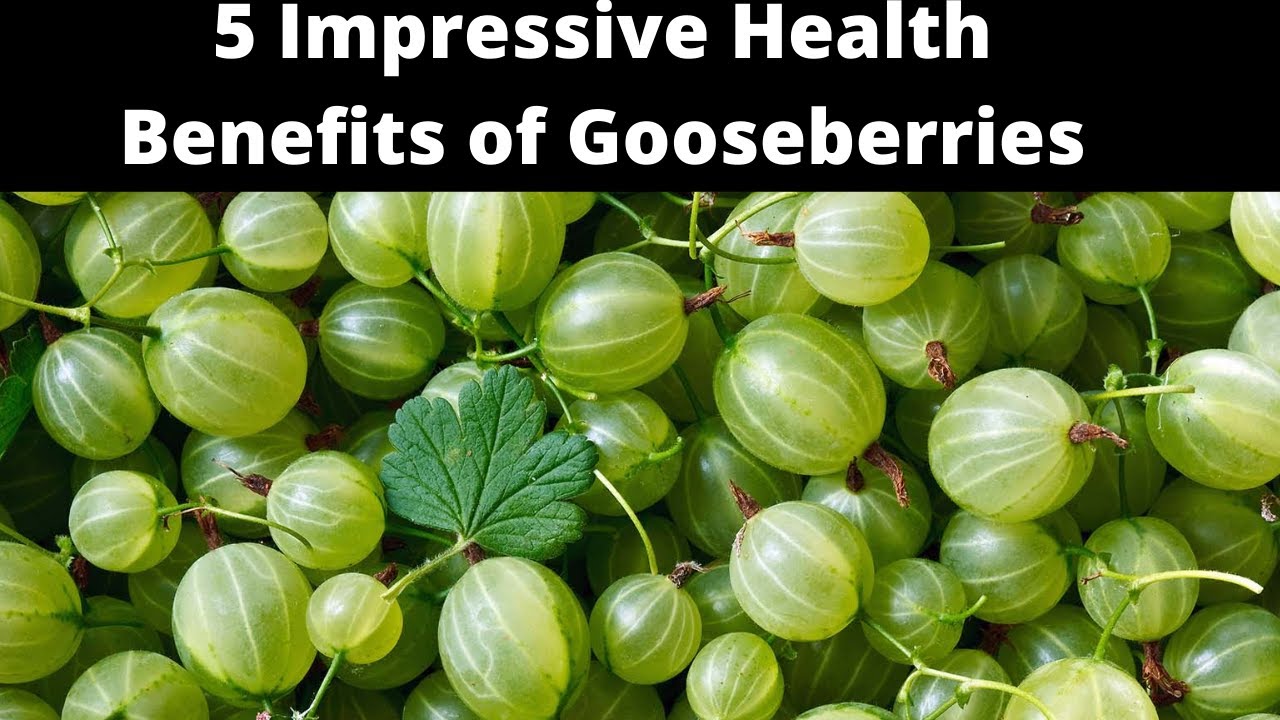 5 Impressive Health Benefits of Gooseberries YouTube