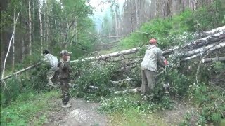 11 серия Тайга После Пожара и Ветра Пробиваем Дорогу и Топором и Бензопилой убирая Завалы Деревьев Л