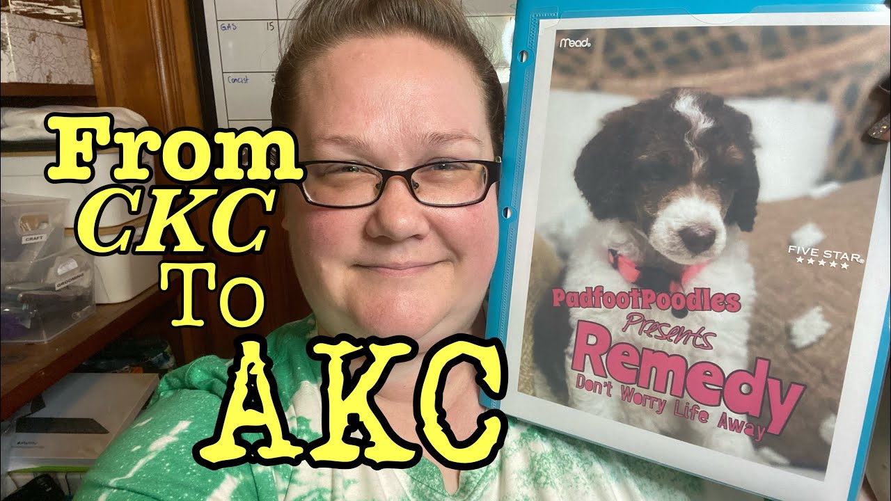 Get Your Ckc Registered Dog Akc Registered! Altreg Research Requirements