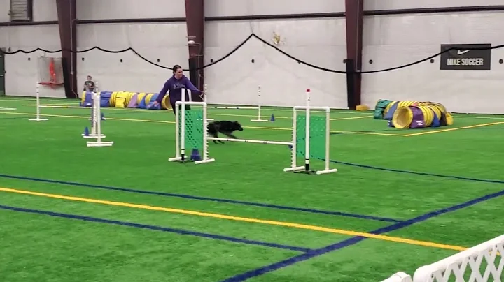 Data CPE Agility Jumpers Level 1