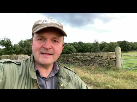 Metal detecting in