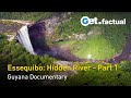 Essequibo: Hidden River - The Vast Delta | Guyana Documentary, Part 1/3