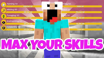 The BEST SKILLS To Grind During Derpy *DO NOW* (Hypixel Skyblock)