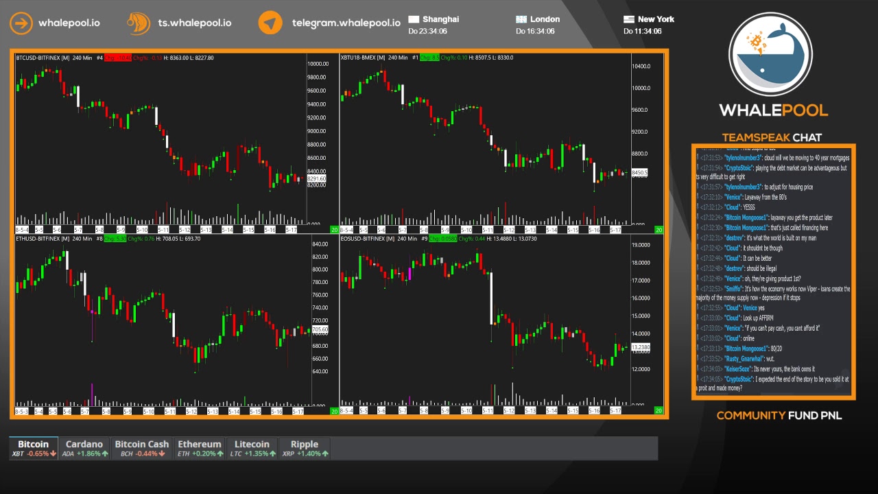 Whalepool live bitcoin cryptocurrency trading stream 24 7 365