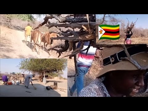 Zimbabwean village life. Ukubiya uthango/Kushosha ruzhowa - YouTube