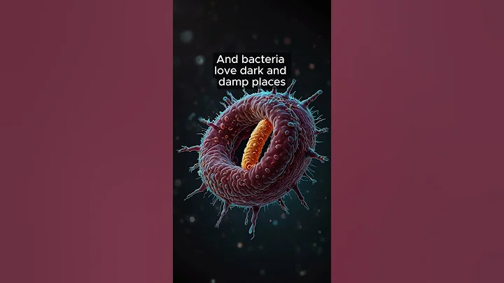 What the Fact Sponge! #facts #clean #cleaning #viralvideo #fyp #kitchen #bacteria