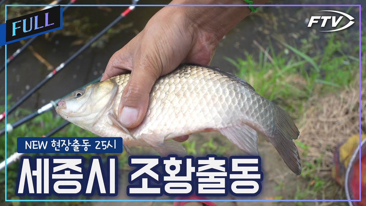 세종권 둠벙 조황출동 [NEW현장출동25시/80회]