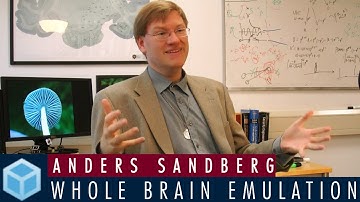 Whole Brain Emulation and Neuromorphic AI with Anders Sandberg