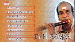 Carnatic instrumental | dr. n. ramani ...