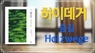 잠들면서 철학하는 오디오 강의 - 하이데거/숲길