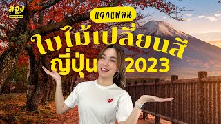 แพลนใบไม้เปลี่ยนสี ญี่ปุ่น 2023 | ลองเล่า | EP.85