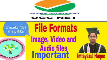 Types of File Format | Audio | Video | Image | Insignia | Imteyazul Haque