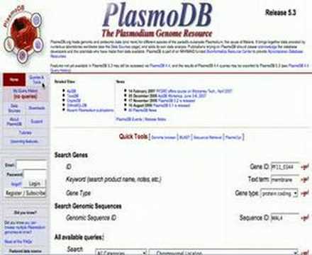 Intro_PlasmoDB_5.3.avi