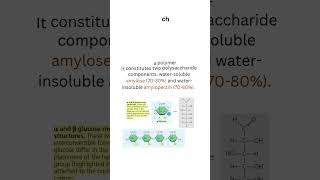 Starch vs Glycogen vs Cellulose #starch #glycogen #cellulose #polysaccharides #biomolecules #neetbio