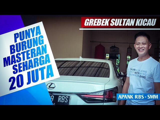 Grebek Rumah Sultan Kicau : Inilah Kicau Mania Sebenarnya - Apank RBS - SMM class=