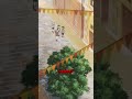 Эмоции, которые задевают сердце!