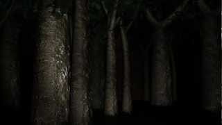 Lets Play Together Slender #004