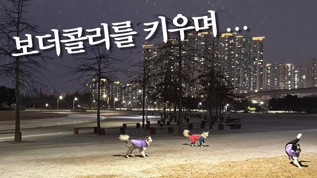 저 잘 키우고 있는 거 맞겠죠?