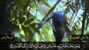 سورة الرحمــن كاملة ||  د. علي الجعفري العنزي