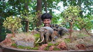 The elephants created this jungle | ഒരു കാട് ഉണ്ടാക്കിയപ്പോൾ 🌳😅 | Gardening