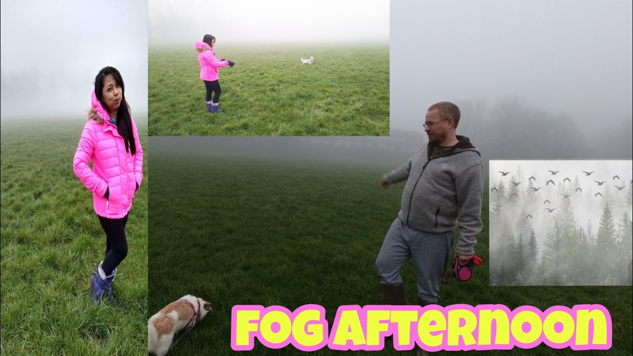 Very Thick Fog This Afternoon YouTube
