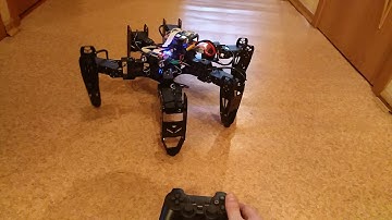 Hexberry the hexapod