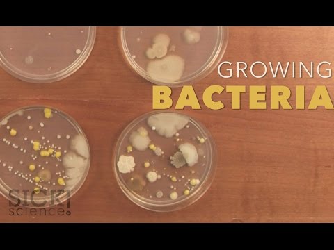 Video: Hemmeligheten Bak En Mikrobe Som Dreper En Person På 24 Timer Er Avslørt - - Alternativt Syn