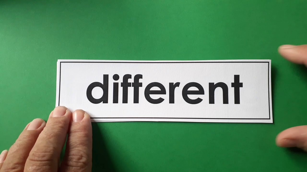 Grade 1: "The Forest" Vocabulary Words - YouTube