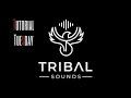 Setting up a template for music production  tutorial  tribal sounds  universal audio luna