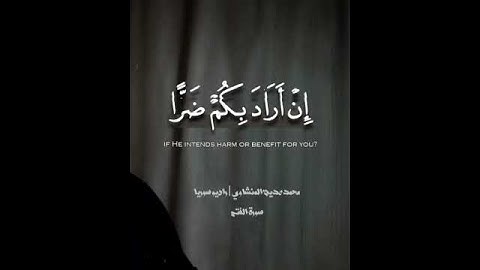 الشيخ محمد صديق المنشاوي | سورة الفتح #المصحف #quran #القرآن_الكريم #المنشاوي #سورة_الفتح