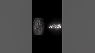 سوره ق بصوت محمد صديق المنشاوي #المنشاوي #اكسبلور #القرآن #القران_الكريم