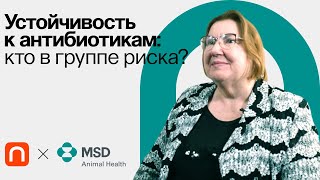 Резистентность к антибиотикам в практике врача / Ирина Петухова на ПостНауке