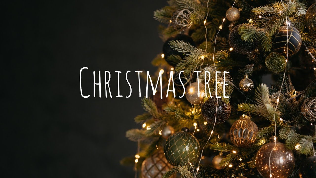 Oh Christmas Tree, Oh Christmas Tree, How Lovely Are Your Branches Song