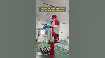 Borunte palletizing robot #borunterobots #Borunte #machinery #intelligence #industrialrobot #robot