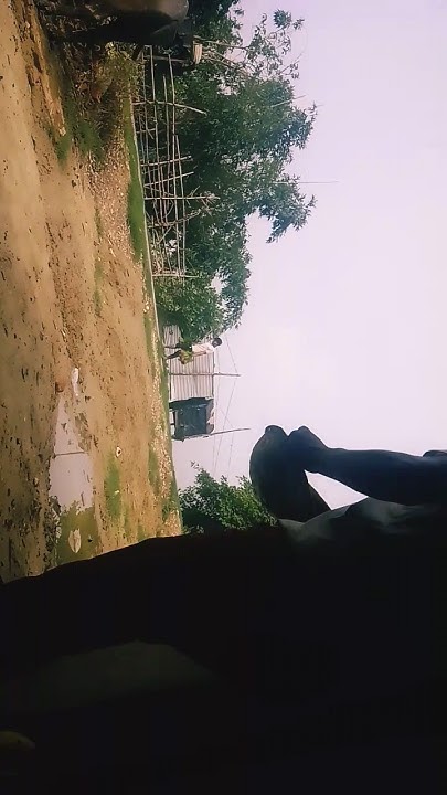 holi birha video
