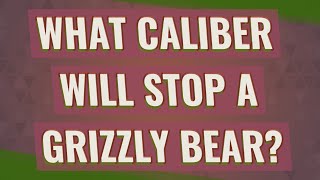 What caliber will stop a grizzly bear