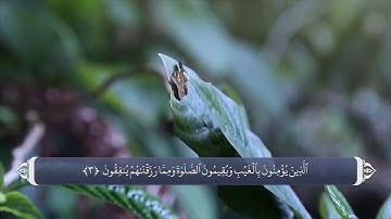 طلب شفا و رقیه قرانی_سوره بقره آیه 1 تا 5