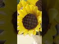 如果偶感疲惫?来#拼一朵花放空一下!用#乐高花植系列搭出桃花源🌸一起晒出乐高®花植美照参与抽奖吧!#乐高积木