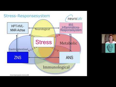 Vortrag: Stress, Neurostress & Immunsystem