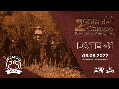 LOTE 41 A1101